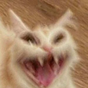 Meet your Posher, Charlie